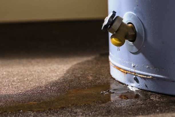 Best Sewage cleanup and water damage restoration  in , VA