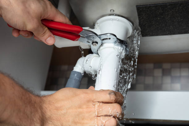 Best Mold removal after water damage  in , VA