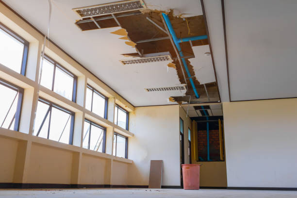 Best Water damage cleanup near me  in , VA