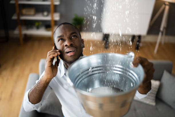 Best Water damage contractors near me  in , VA