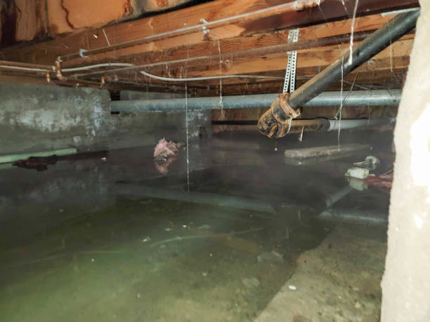Best Ceiling water damage repair  in , VA