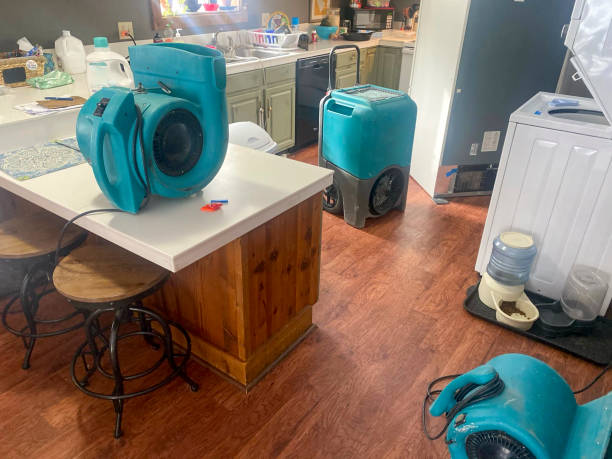 Best Water damage restoration near me  in , VA