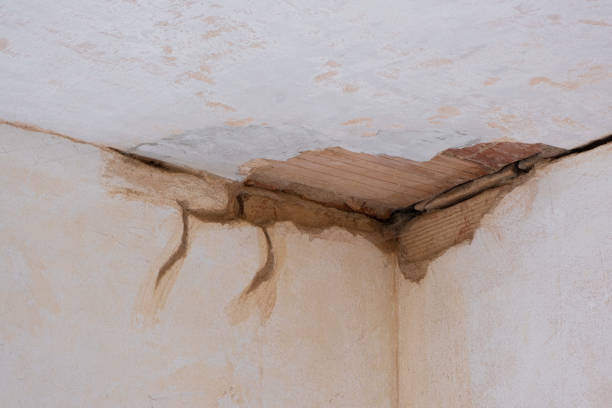 Best Water damage restoration near me  in , VA