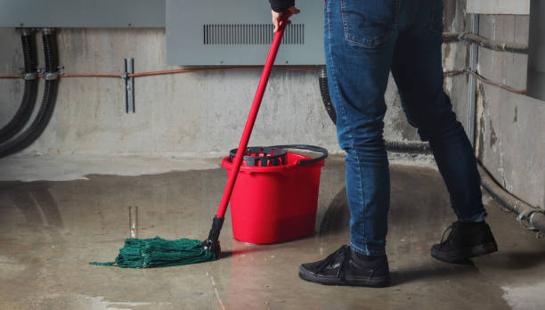 Best Professional water damage repair  in , VA