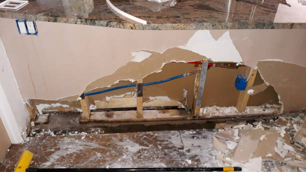 Best Flood damage cleanup  in , VA