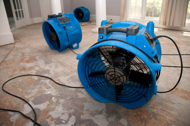 Best Residential water damage restoration  in , VA