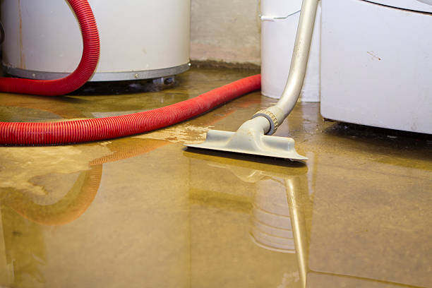 Best Flooded house restoration  in , VA