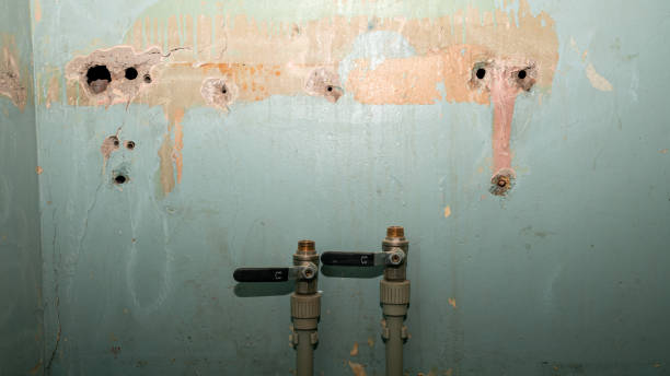 Best Local water damage restoration  in , VA