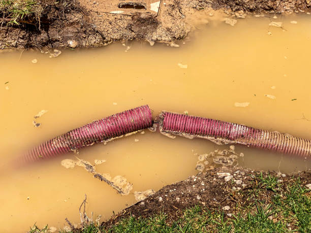 Best Water damage restoration company  in , VA