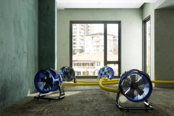 Best Fire Damage Restoration  in , VA