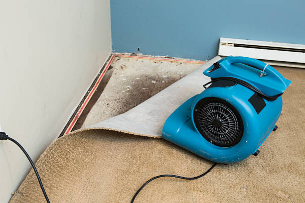Best Flood restoration services  in , VA
